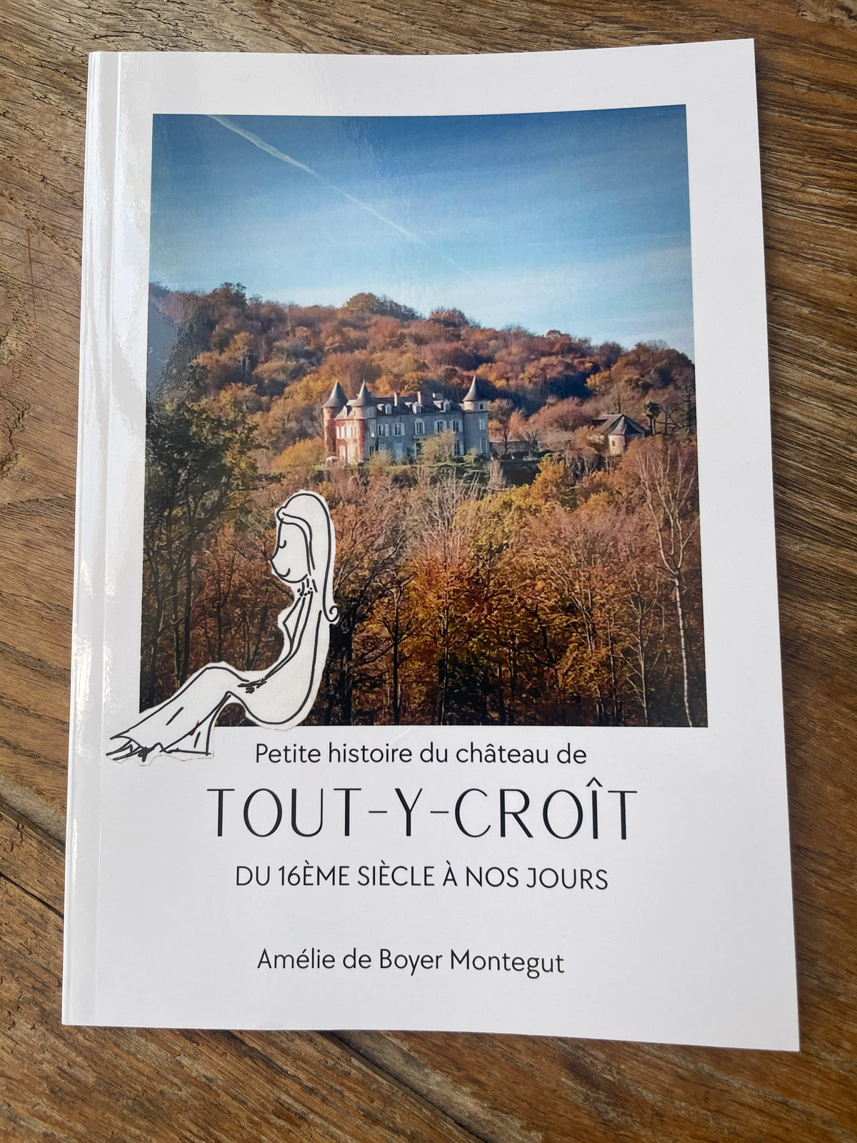 Petite histoire du château de Tout-y-Croît du 16ème siècle à nos jours